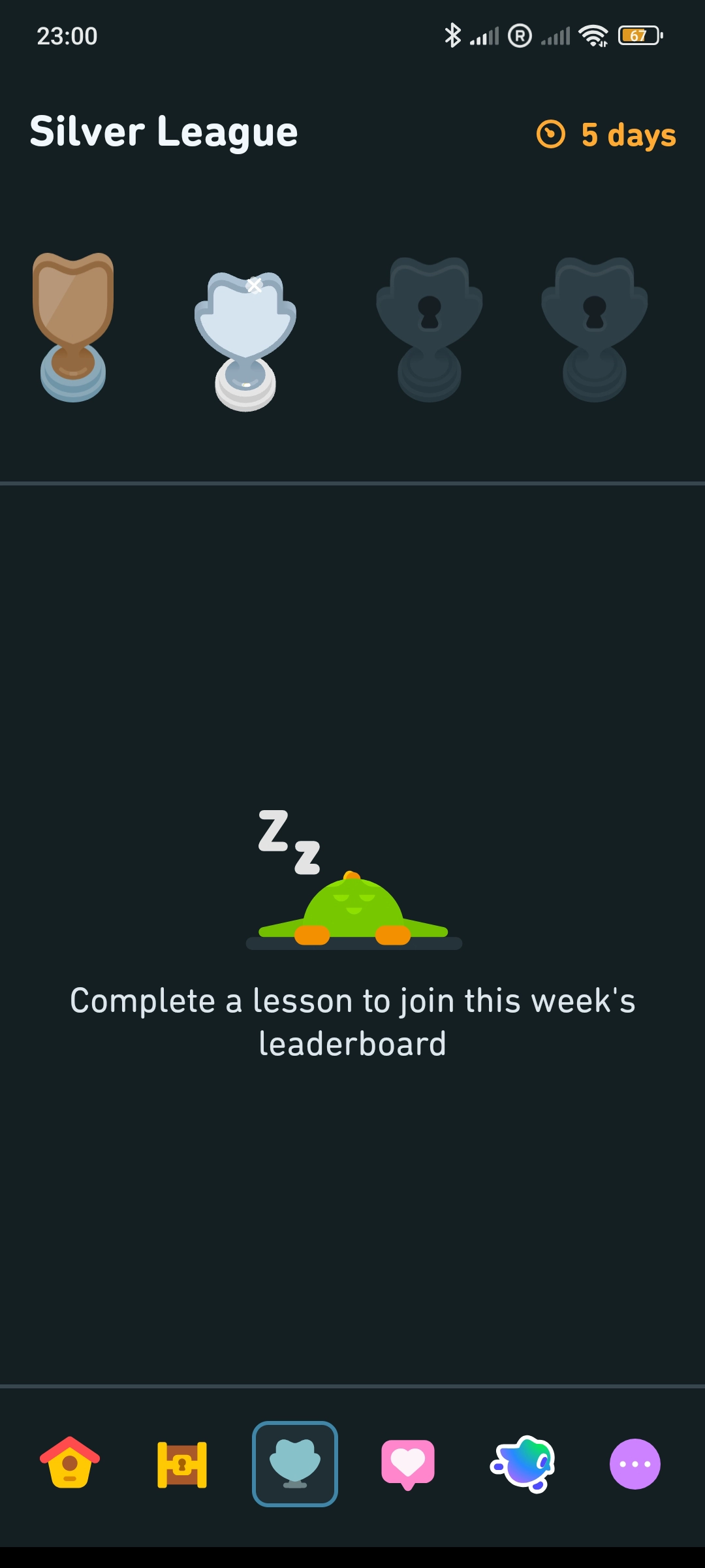 Duolingo Interface Schatz